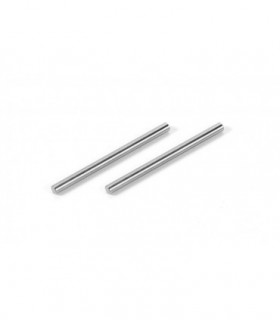 PASADORES TITAN SUSPENSION PIVOT PIN (2)