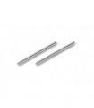 PASADORES TITAN SUSPENSION PIVOT PIN (2)