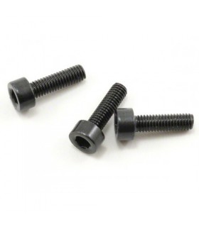 TORNILLO CIGíEíAL 21 M5/M8/M4R (3u.)