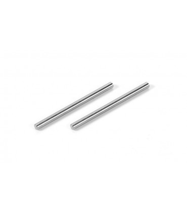 PASADORES TITAN SUSPENSION PIVOT PIN (2)