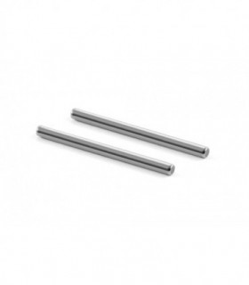 PASADORES TRARESOS PIVOT PIN (2)