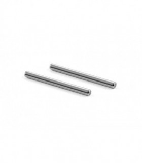 PASADOR TRAPECIOS TRASEROS PIVOT PIN (2)