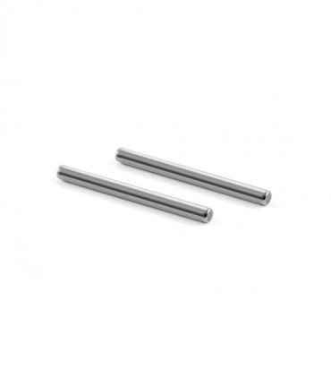 PASADOR TRAPECIOS TRASEROS PIVOT PIN (2)