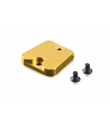 BRASS CHASSIS WEIGHT MIDDLE