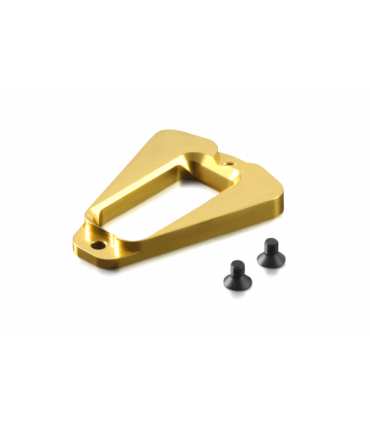 BRASS CHASSIS WEIGHT REAR 25g