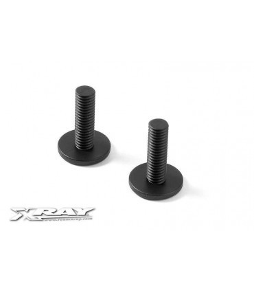 TORNILLOS DEL SOPORTE TRASERO DE CARROCERÍA (2)