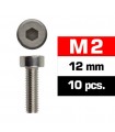TORNILLOS M2x12mm CILINDRICO (10u.)