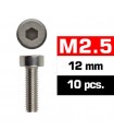 TORNILLOS M2.5x12mm CILINDRICO (10u.)