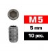TORNILLOS M5x5mm PRISIONEROS (10u.)