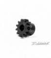 PIÑON XBE 12T