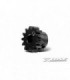 PIÑON XBE 13T