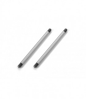 REAR LOWER OUTER PIVOT PIN (2)