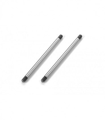 REAR LOWER OUTER PIVOT PIN (2)