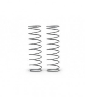 SET MUELLES TRASEROS C-0.50 - GRIS (2)