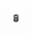 MUELLE EMBRAGUE SLIPPER C 50 - NEGRO