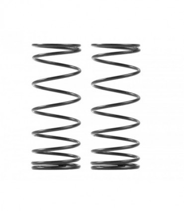 MUELLES DELANT. SUSP. - 1 DOT (2)
