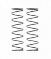 MUELLES TRASEROS C 0.45 (2)