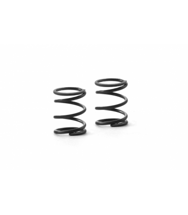 MUELLES 4.05 COILS 3.6X6X0.45MM C 2.5 - (SOFT) (2)