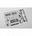 PEGATINAS CARROCERIA XRAY XB8 - BLANCO