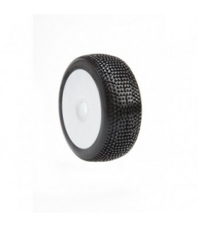 BETA V-MAX BUGGY 1/8 (WHITE WHEEL) PREGLUED (2)