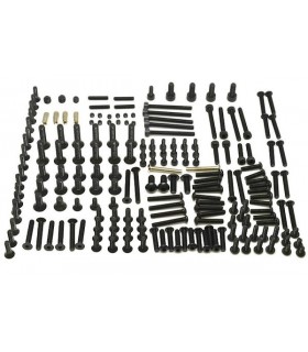 KIT COMPLETO TORNILLERIA A319