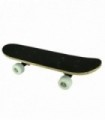 MINISKATEBOARD