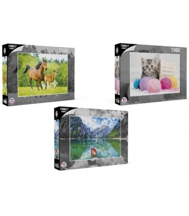 1000PCS PUZZLE