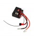 RECEPTOR L959/L969