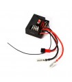RECEPTOR L959/L969