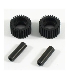 PIÑON INTERMEDIO H2