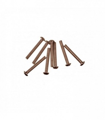 TORNILLO M3X23 TITANIO CABEZA DE CEBO (8u) MUGEN