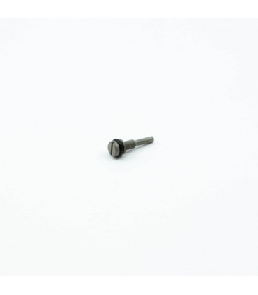 TORNILLO RALENTI M3 (22C)