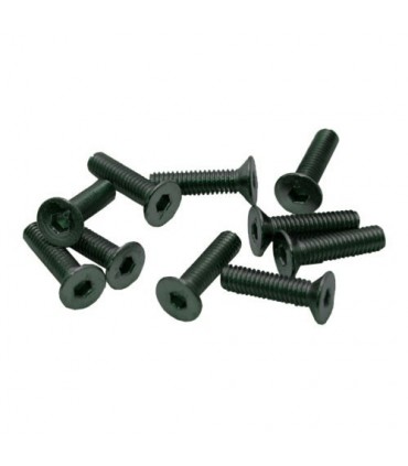 TORNILLOS M3x10mm AVELLANADO (10u.)