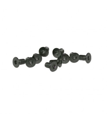 TORNILLOS M4x10mm AVELLANADO (10u.)