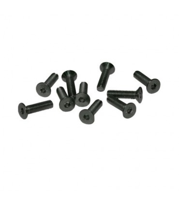 TORNILLOS M4x16mm AVELLANADO (10u.)