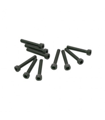 TORNILLOS M3x20mm CILINDRICO (10u.)