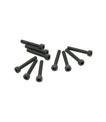 TORNILLOS M3x25mm CILINDRICO (10u.)