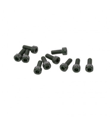TORNILLOS M4x10mm CILINDRICO (10u.)