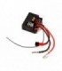 RECEPTOR L959/L969