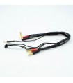CABLE CARGA 2S DE 30 cm CON CONECTORES 4/5mm