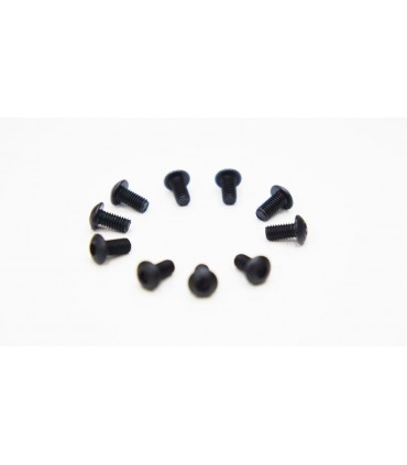 -LIQUIDACION- TORNILLO CABEZA BOTON 3.0 X 6MM (10)