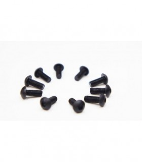 TORNILLO CABEZA BOTON 4.0 X 10MM (10)