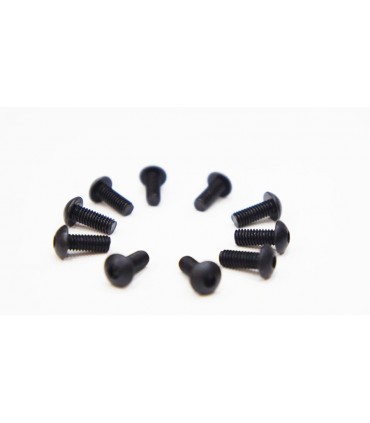 TORNILLO CABEZA BOTON 4.0 X 10MM (10)