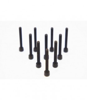 -LIQUIDACION- TORNILLO CABEZA CILINDRICA 3.0 X 20MM (10)