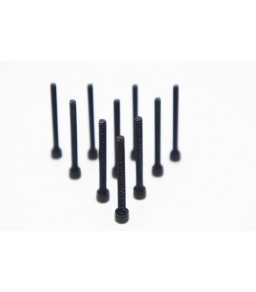 TORNILLO CABEZA CILINDRICA 3.0 X 25MM (10)