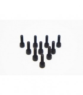 -LIQUIDACION- TORNILLO CABEZA CILINDRICA 3.0 X 8MM (10)