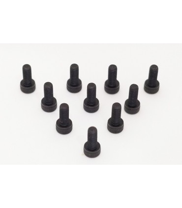 TORNILLO CABEZA CILINDRICA 4.0 X 10MM (10)