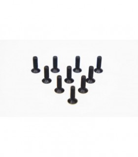 -LIQUIDACION- TORNILLO CABEZA EMBUTIDA 3.0 X 10MM (10)