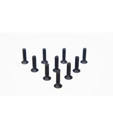 TORNILLO CABEZA EMBUTIDA 3.0 X 12MM (10)