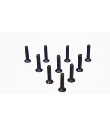 TORNILLO CABEZA EMBUTIDA 3.0 X 14MM (10)